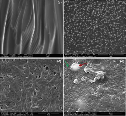 Field–Frequency-Dependent Non-linear Rheological Behavior of Magnetorheological Grease Under Large Amplitude Oscillatory Shear